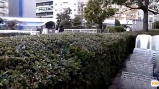 1788国产精品视频